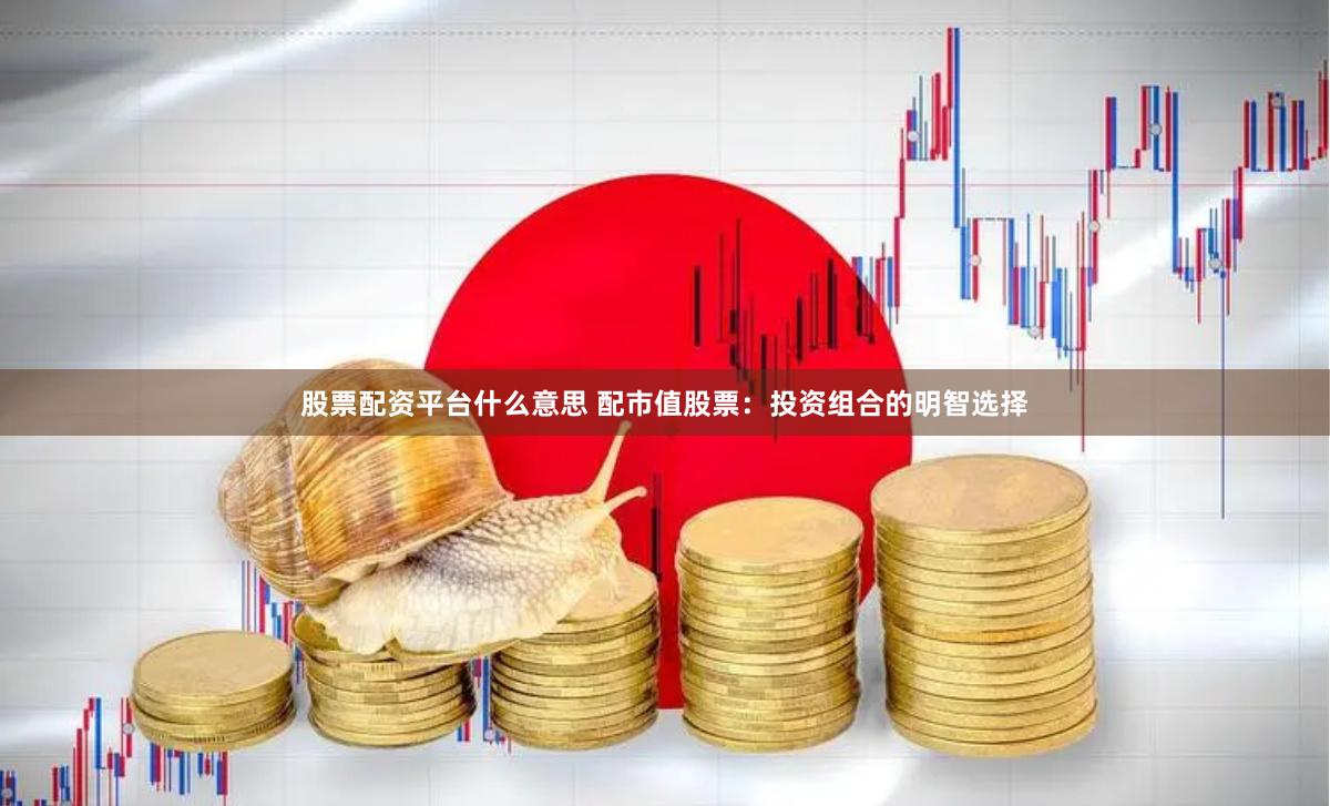 股票配资平台什么意思 配市值股票：投资组合的明智选择
