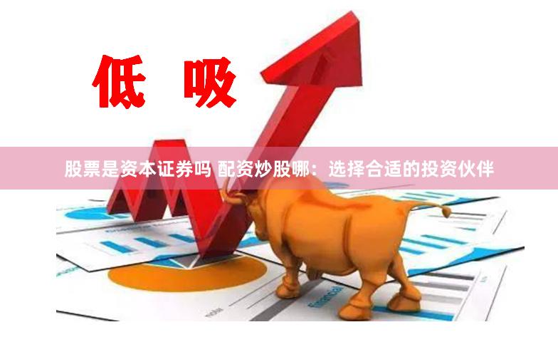 股票是资本证券吗 配资炒股哪：选择合适的投资伙伴