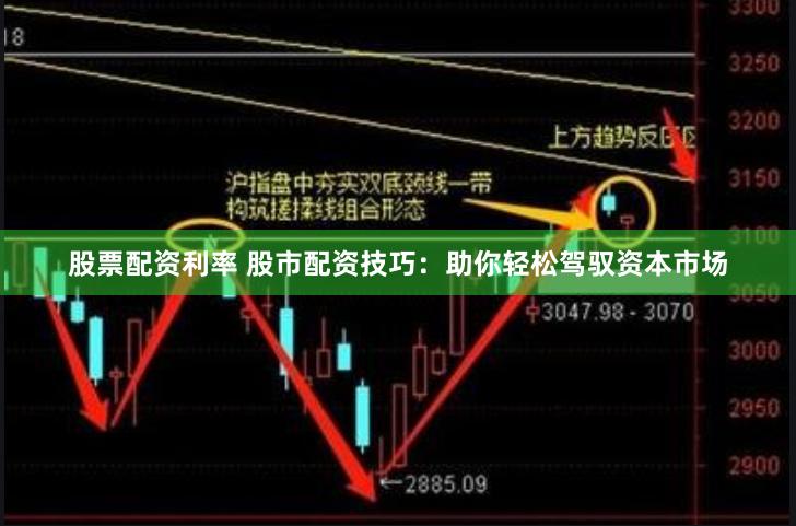 股票配资利率 股市配资技巧：助你轻松驾驭资本市场